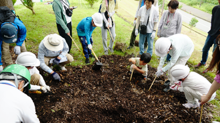 カブトムシの産卵場所づくりから幼虫・成虫までの観察会