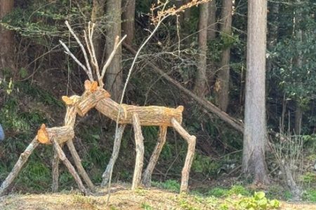 「鹿野の風」プロジェクト「木漏れ日計画」