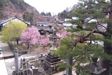 【春企画】「京おとくに・街おこしネットワーク」さんの投稿