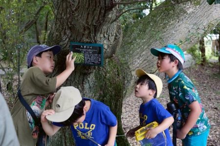 【イベント報告】夏の昆虫や植物を観察しよう！