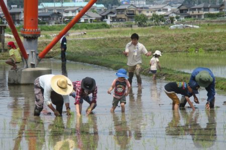 【夏休み企画】春日井市の「森のたんけんたい」