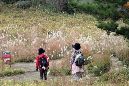 「東お多福山草原におけるススキ草原の景観および生物多様性の保全・再生」