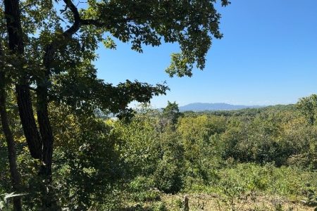 「もりハグ!見学&交流会inならやま」開催報告その1